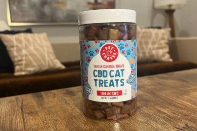 How to Use CBD to Treat Your Cat - A Comprehensive Guide