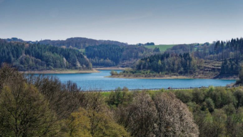 Immobilienmakler Bergisch Gladbach- Stenner
