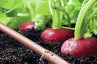 Known Also As Trickle Irrigation, Drip Irrigation Ensures A Consistent Water Application To Soil Surfaces Through Slow, Gentle Watering