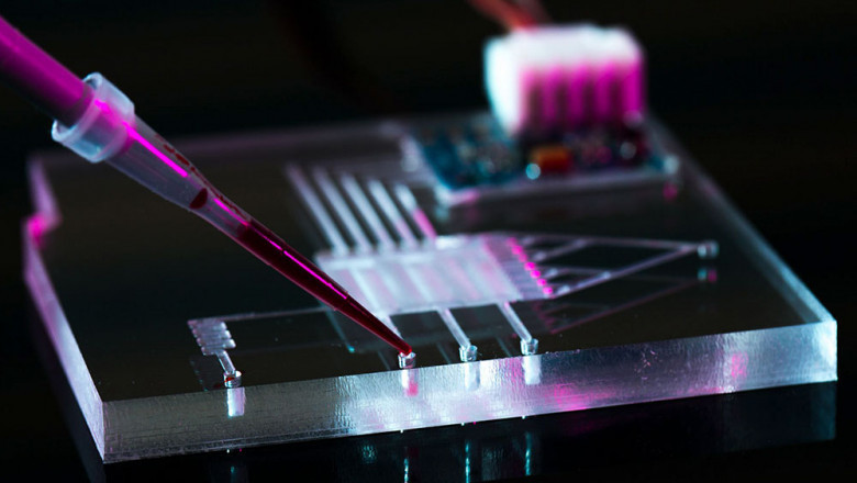 Microfluidic Devices Market 2022 | Industry Demand, Fastest Growth, Opportunities Analysis and Forecast To 2028