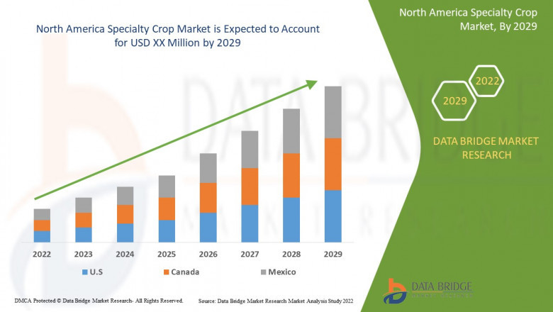 North America Specialty Crop Market Top Players, current and Future Growth to 2029