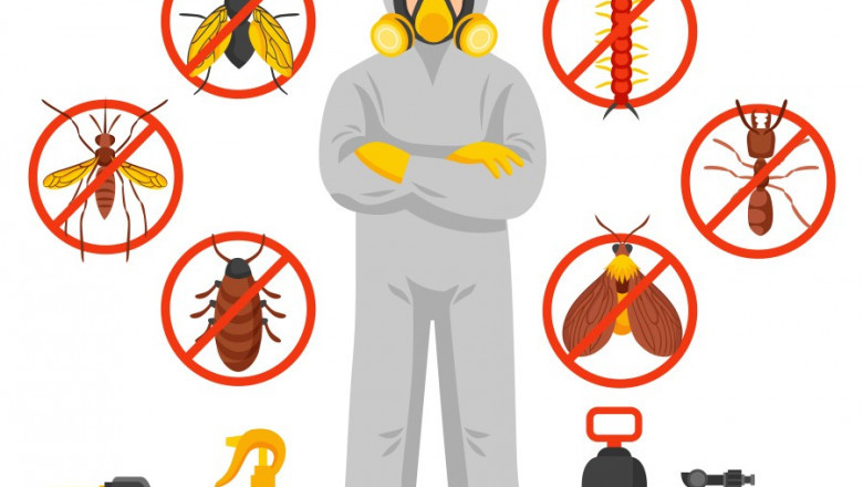 Pest Control In Thanjavur | Pest Control Services In Thanjavur |