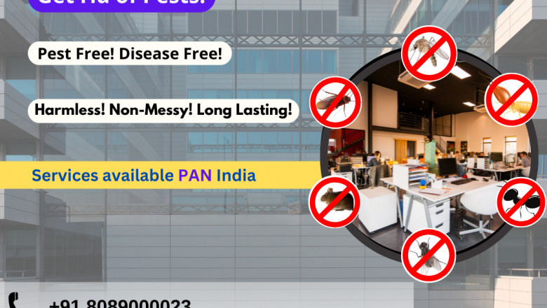 Pest Control Services in Cochin