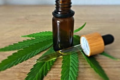 THE BEST CBD PRODUCTS OF 2022