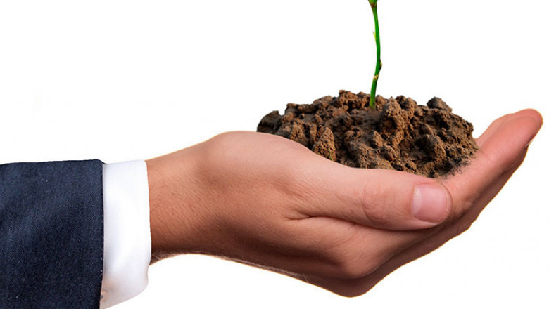 The simplest ways to become carbon neutral