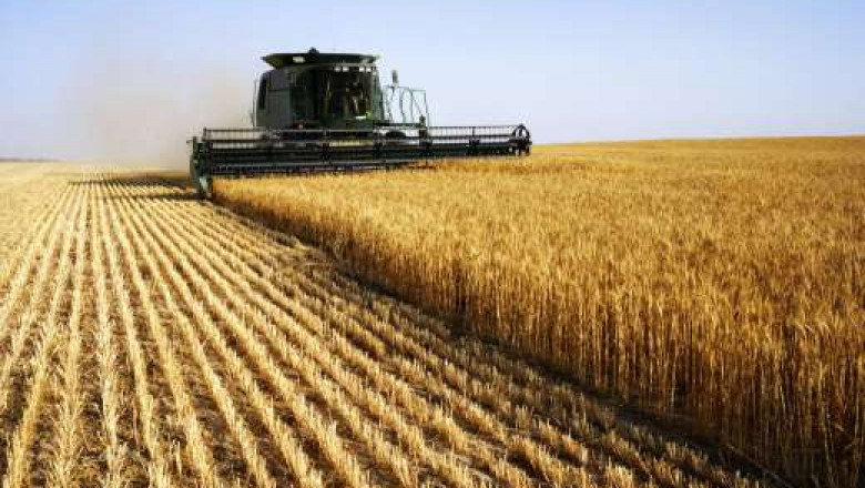 Top 5 Ways to Increase Crop Yield With Latest Technology