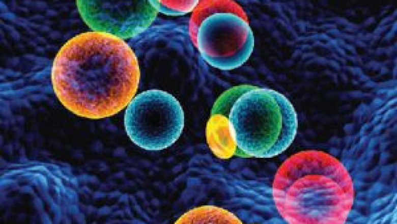 Apoptosis Assays Market Report 2028 | Industry Analysis By Top Key Players