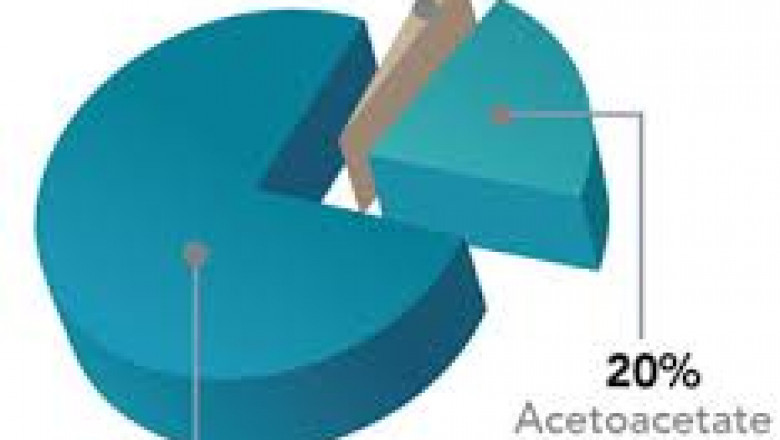 Beta-Hydroxybutyrate Testing Market 2022 | Industry Demand, Fastest Growth, Opportunities Analysis and Forecast To 2028