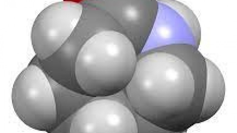 Caprolactam Market Revenue Growth and Quantitative Analysis Till 2030