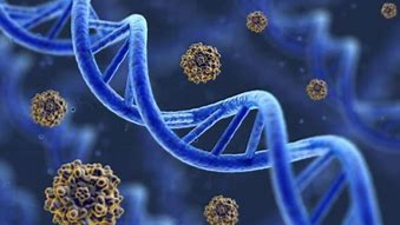 DNA Polymerase Market 2022 | Industry Demand, Fastest Growth, Opportunities Analysis and Forecast To 2028