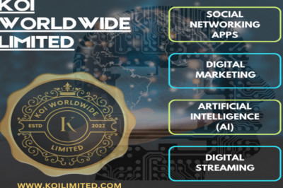 Effective Top Digital Technology Services offered by Koi Limited