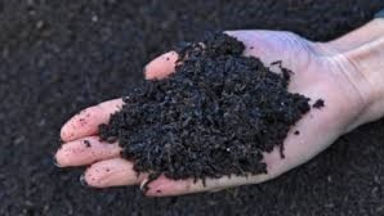 Global Biochar Market is expected to foresee significant growth. The Asia Pacific to lead the growth!
