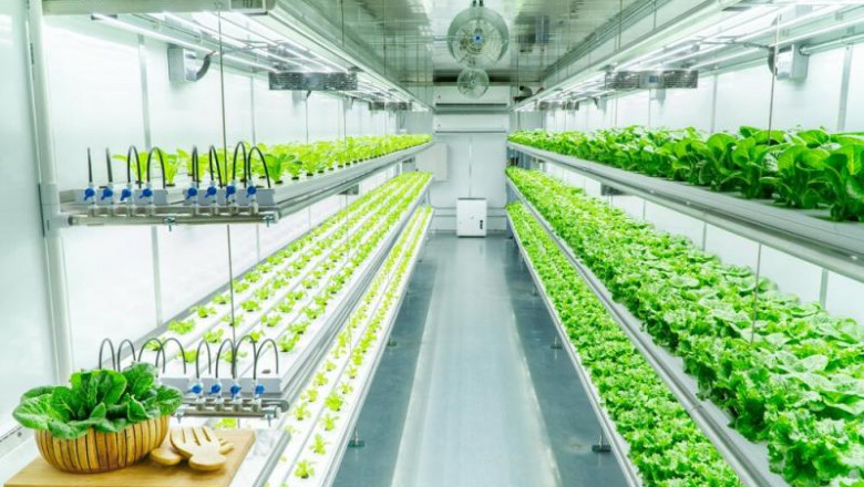 Global Indoor Farming Market Growth, Size, Share and Forecast 2027