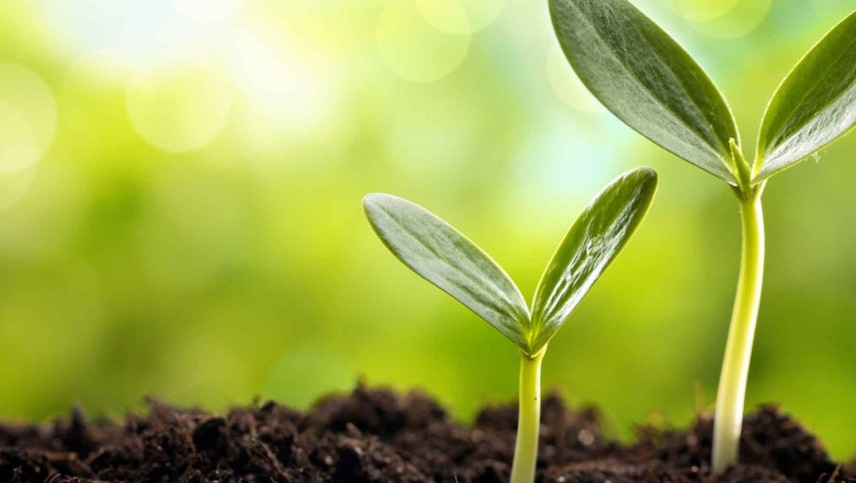 Plant Genomics Market Growth, Size, Share and Forecast 2027