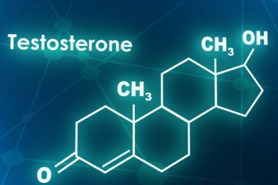 A study of the global Testosterone Replacement Therapy Market: trends, market size, growth, opportunity, as well as forecasts for 2022-2028