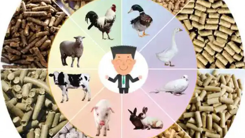 Brazil Animal Feed Market Growth, Share, Size and Forecast 2027