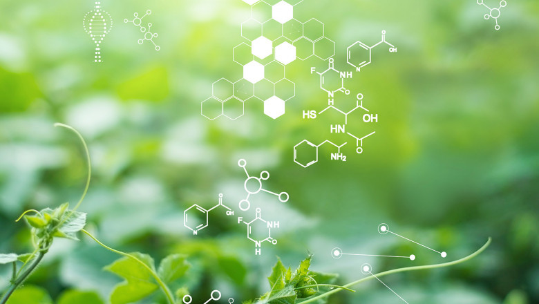 Global Green and Bio Polyols Market Analysis