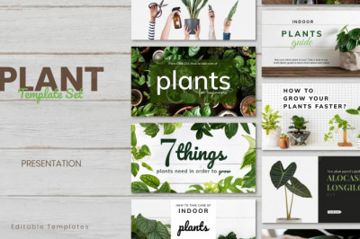 How to Sell Plants Online: A Guide for Beginners