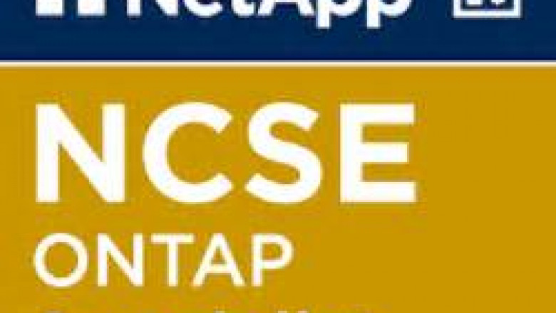 NS0-593 Interactive Course & Best NS0-593 Vce - NS0-593 Exam Topic