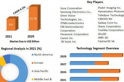 Segmentation of the global image sensor market by competitive landscape, leading producers, and forecast through 2027.
