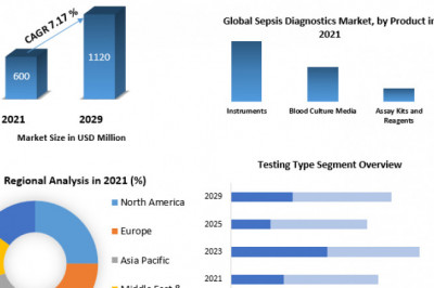 Sepsis Diagnostics Market Past Research, Deep Analysis and Present Data 2029