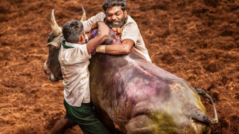 The Olympics Are Over: Here Are The Deadliest Sports In The World