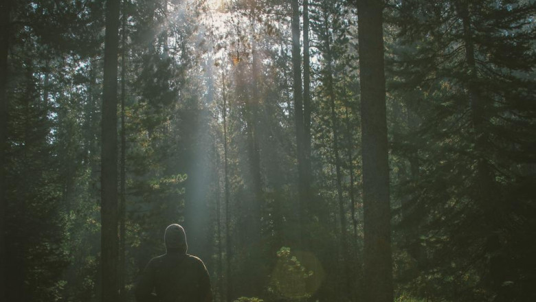 dorm room air purifier 5 answers that may well you choose an effective cleaner