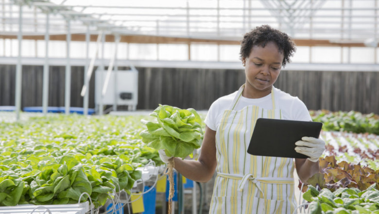 Germany AI in Agriculture Market Share, Size, Growth and Forecast 2027