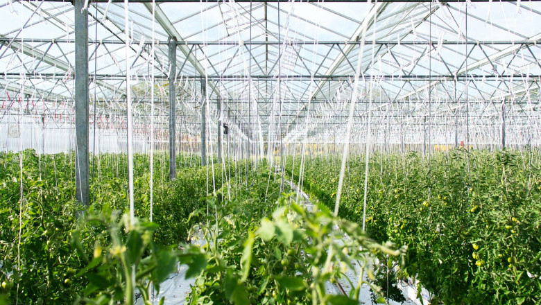 Middle East & Africa Desert Farming Market Share, Size, Growth and Forecast 2027