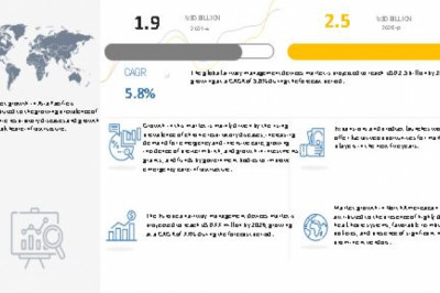 Professional Survey Report On Airway Management Devices Market: 2022