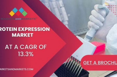 Protein Expression Market: Key Players, Overview, Demand & Supply Chain Analysis, Forecast To 2027
