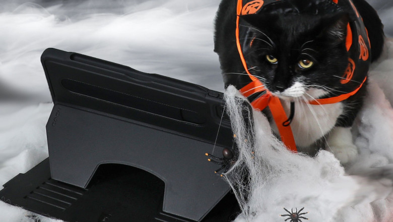 The Top 5 Things to Look For in a Best iPadPro 11 Case