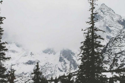 best personal injury law attorneys woodstock lawyers