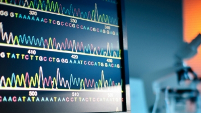 Sanger Sequencing Services Market Share, Size, Growth & Trends Forecast till 2027