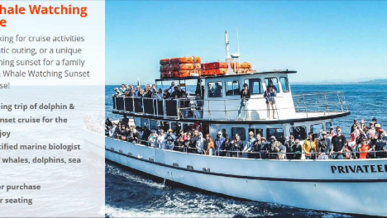 Whale watching in San Diego is an initial choice of many customers