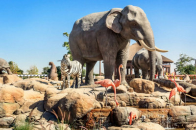 Bali Safari & Marine Park Tour