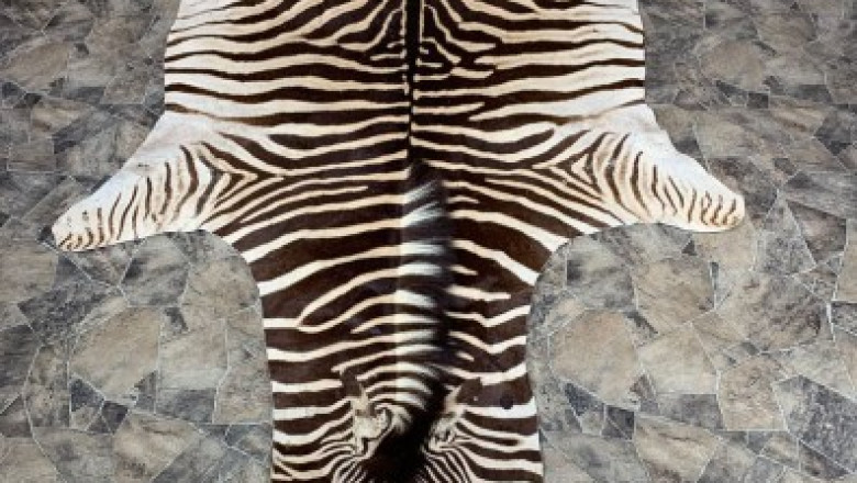 How To Find Zebra Rugs For Sale