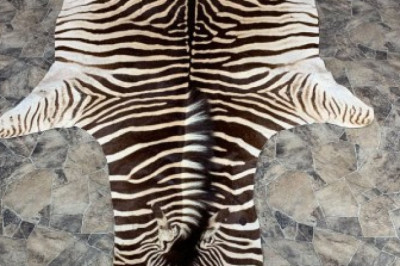 How To Find Zebra Rugs For Sale