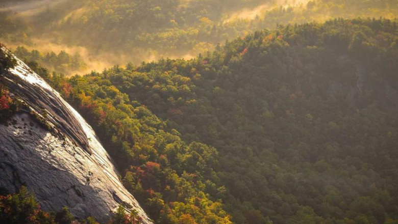 web marketing a hunt into the crystal ball