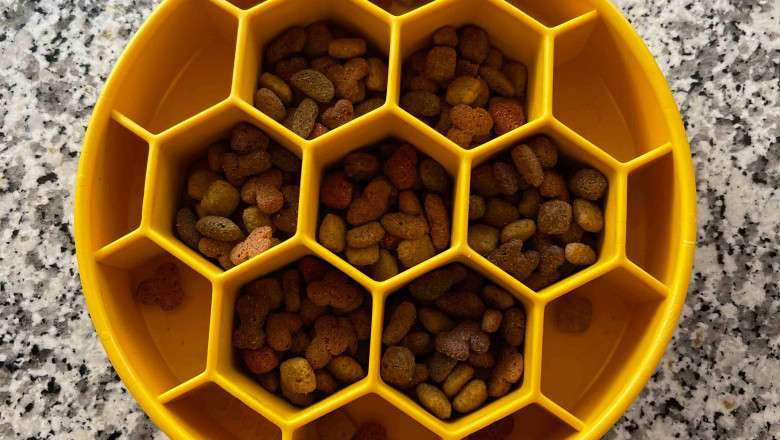 Why You Need to have Interactive Dog Toys