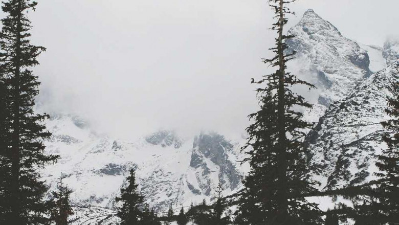 4 dirty little secrets about the buy 4fluoroisocathinone online industry