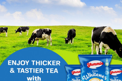 Dairy Whitener Supplier and Manufacturer
