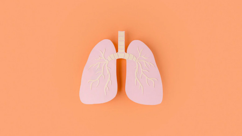 Detoxification Of The Lungs Is The Treatment For Smokers