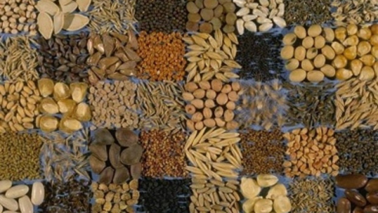 Global Seed Coating Market Share, Size, Gorwth and Forecast 2022-2027