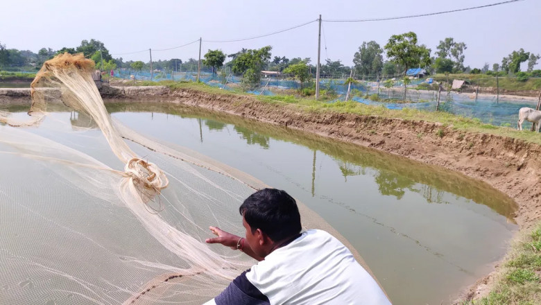 India Aquaculture & Marine Products Market Share, Size, Gorwth and Forecast 2022-2027
