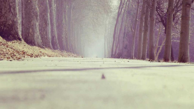 14 cartoons about 13377x movie thatll brighten your day