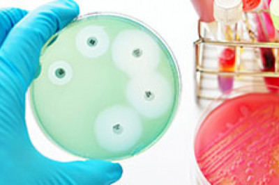 Antimicrobial Susceptibility Testing Market Size by 2025
