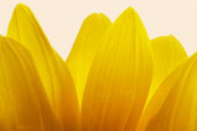 Christmas Hampers to Italy–Guaranteed Hassle-free Delivery of Iconic Hamper Baskets with No Shipping Costs!