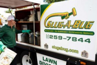 If You Need Professional Pest Control Services In Melbourne Fl