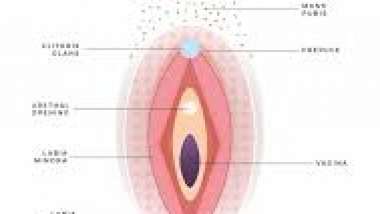 Labiaplasty Before and After in Toronto Online